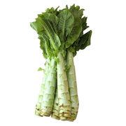 CELTUCE (GAMBO DI LATTUGA CINESE) – CROCCANTE E DELICATO (1 PEZZO)