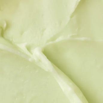 MATTE SUN STICK MUGWORT+CAMELLIA 18G