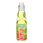 SODA GIAPPONESE MELA – 200 ML HERMAN BV