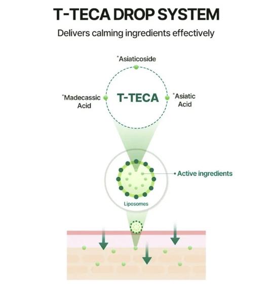 TORRIDEN BALANCEFUL SERUM 50ML