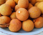 LONGAN FRESCHI – FRUTTO ESOTICO DOLCE E SUCCOSO (1KG) Mood Market