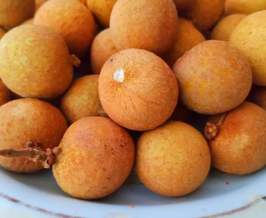 LONGAN FRESCHI – FRUTTO ESOTICO DOLCE E SUCCOSO (1KG) Mood Market