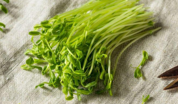 GERMOGLI DI PISELLO FRESCHI – VERDURE TENERE E DELICATE (1 CONFEZIONE)
