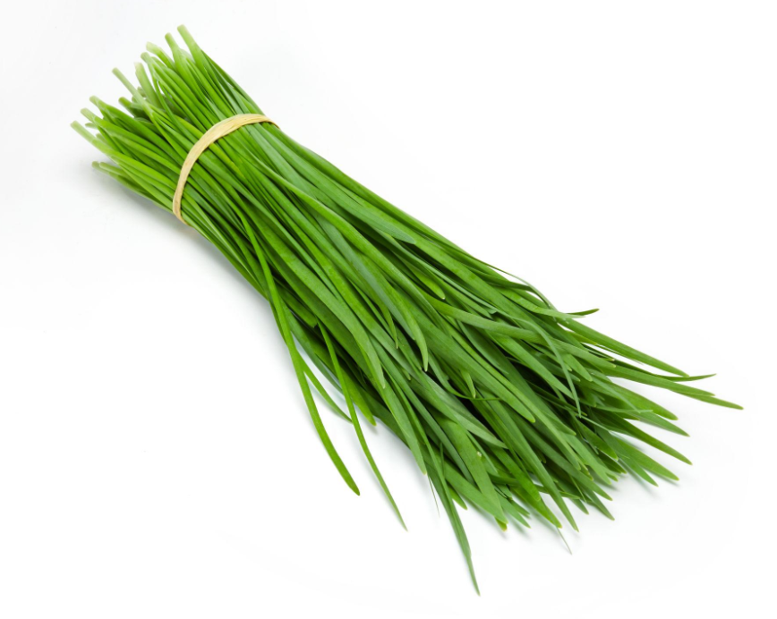 ERBA CIPOLLINA CINESE (GARLIC CHIVES) – AROMATICA E FRESCA (300G)