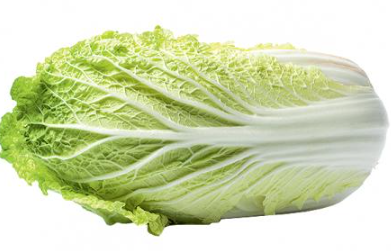 CAVOLO CINESE (NAPA CABBAGE) – VERDURA FRESCA CROCCANTE E VERSATILE (1 PEZZO)