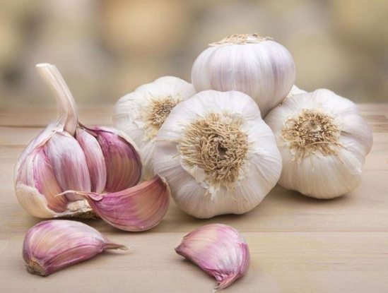 AGLIO FRESCO – AROMATICO E INTENSO PER OGNI PIATTO (4 PEZZI)