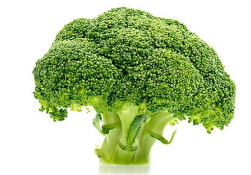 BROCCOLI FRESCHI – VERDURA VERDE NUTRIENTE E VERSATILE (1 PEZZO)
