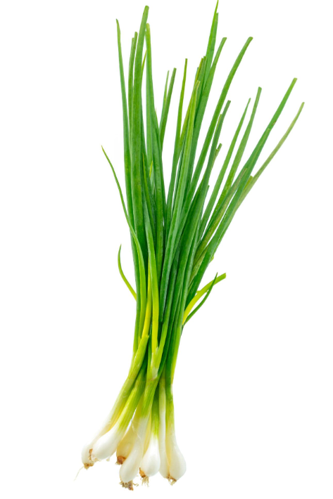 CIPOLLOTTO FRESCO – AROMATICO E DELICATO (3 PEZZI)