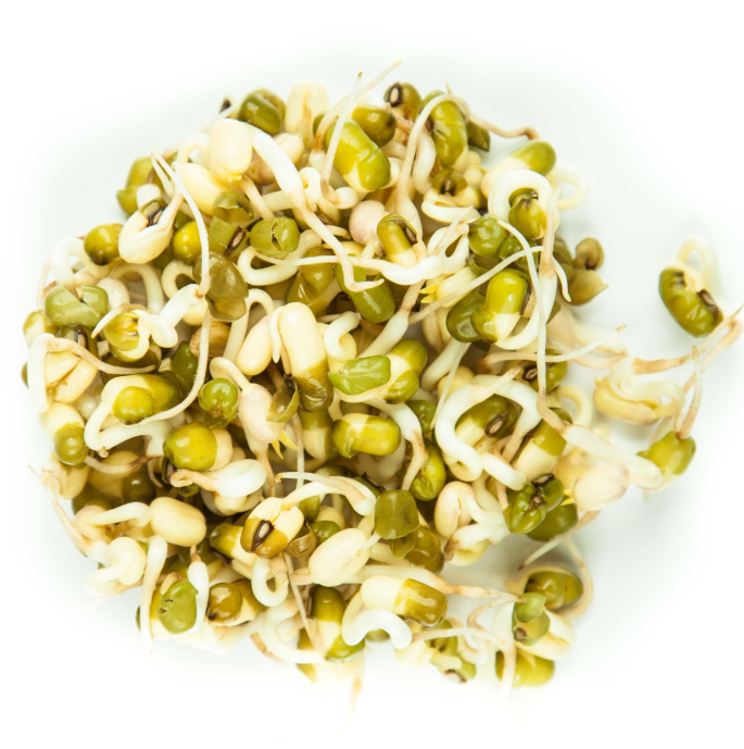 GERMOGLI DI FAGIOLO MUNG FRESCHI – CROCCANTI E LEGGERI (500G)