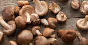 FUNGHI SHIITAKE FRESCHI – AROMATICI E RICCHI DI SAPORE (250G)