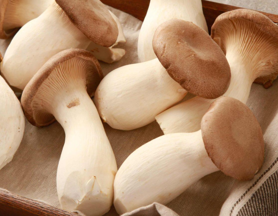FUNGHI CARDONCELLI FRESCHI (KING OYSTER / ERYNGII) – CARNOSI E SAPORITI (1 CONFEZIONE)