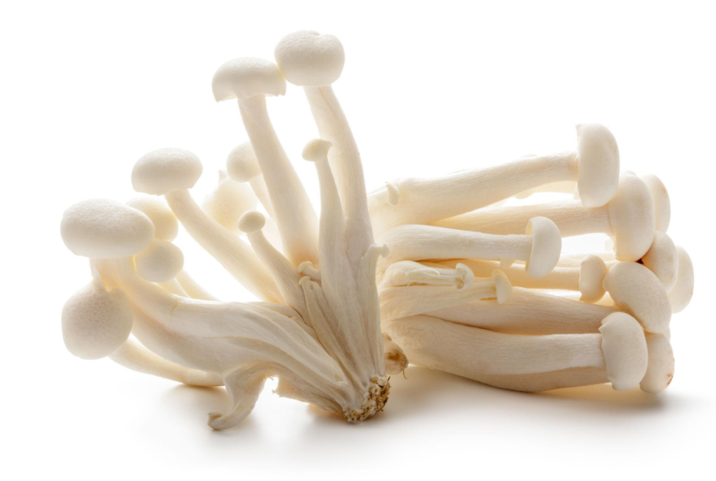 FUNGHI BUNAPI (SHIMEJI BIANCHI) FRESCHI – DELICATI E CROCCANTI (1 CONFEZIONE)