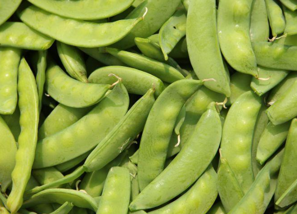 TACCOLE FRESCHE (SNOW PEAS) – CROCCANTI E DOLCI (250G)