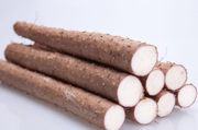 IGNAME CINESE FRESCO (CHINESE YAM / NAGAIMO) – RADICE NUTRIENTE E VERSATILE (1KG)