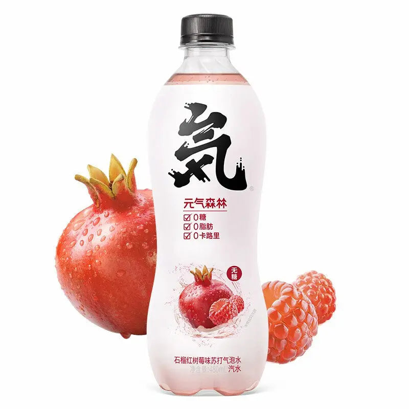 SODA MELOGRANO E LAMPONE 480 ML 一统