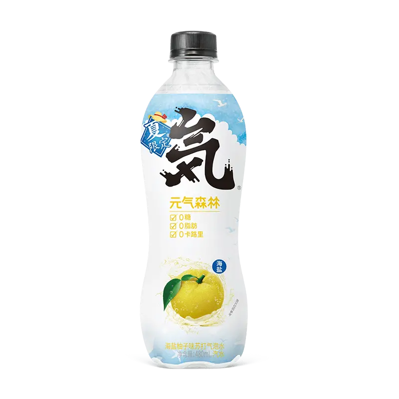 GENKI FOREST SODA AL CEDRO E SALE MARINO 480ML 好又多
